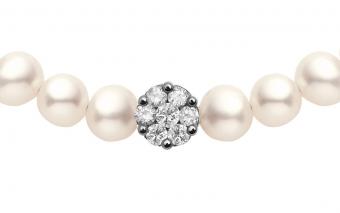 Diamond & Pearl Illusion (L) - Redline