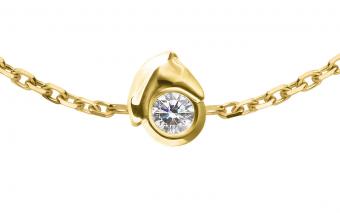 Mini Horse  - Redline