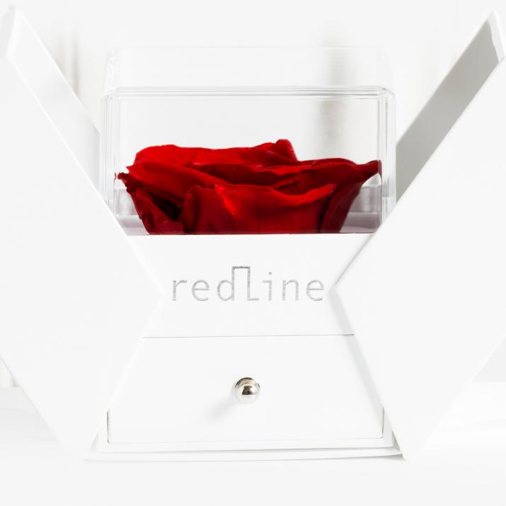 Pulsera Anillo para hombre Packaging Rose Oro Blanco - Redline - 0++