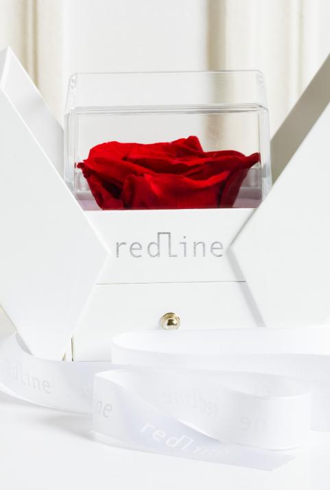 Pulsera Anillo para hombre Packaging Rose Oro Blanco - Redline - 0++