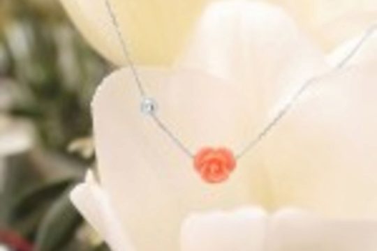 La rose Mayssa s'enroule dans une chaîne