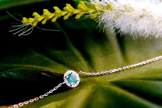 Toutes vertes de jalousie chez Redline !