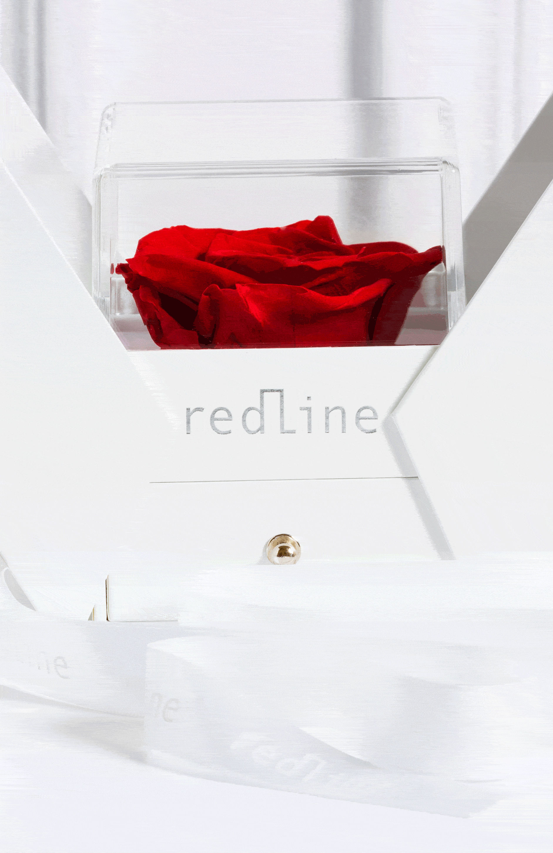 Un regalo excepcional