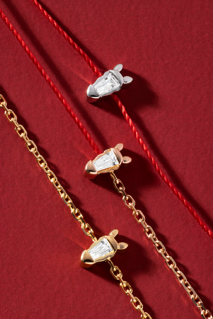 Caballo, el impulso del diamante