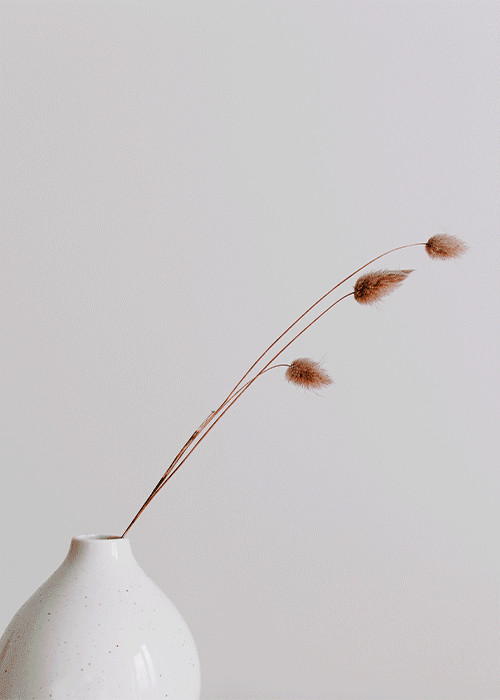 Símbolo de encanto y refinamiento