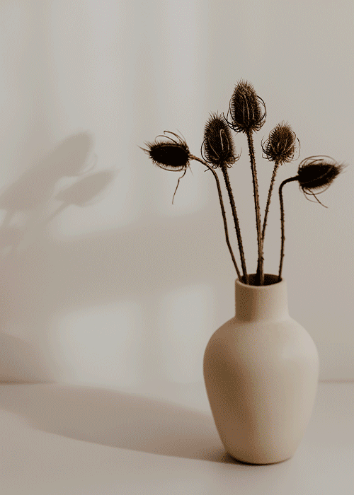 Una joya, un estilo de vida